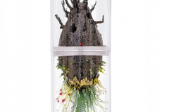 steffen-lang-Golden-Green-2025-glas-gips-kunstoff-holz