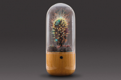 steffen-lang-OX1-2021-quer