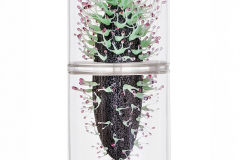 steffen-lang-tentakelstein-2024-glas-gips-kunststoff